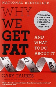 why-we-get-fat-and-what-do-do-about-it-gary-taubes