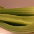 Celery